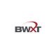 BWXT Sticker